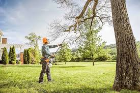  Franklin Park, FL Tree Services Pros